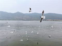 -海埂大坝