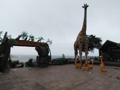 -西霞口神雕山野生动物世界