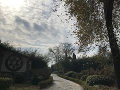 -金孔雀温泉旅游度假村