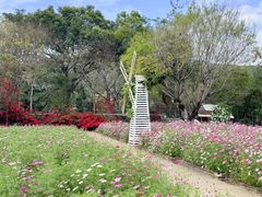 -玫瑰海岸文化旅游度假区