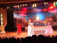-金东尼人妖秀