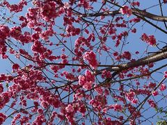 -名花谷生态庄园