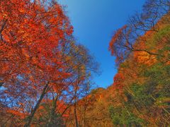 -光雾山旅游景区