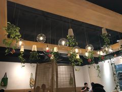 -柴务处·柴犬主题狗咖