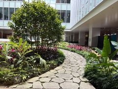 -香港大学