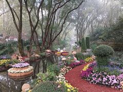 -上海共青森林公园