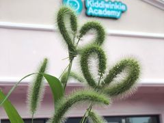 -稚子社·德缘儿童中心(唐镇校区)