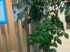 -麦悠悠·SPA·推拿(沈杜公路地铁站店)