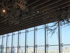 景观位-Seesaw Coffee(朝阳大悦城店)