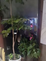 -香秀空间科技抗衰·美容中心