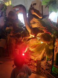 -恐龙探索乐园(磁器口店)