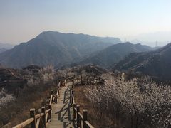 -大岭沟猕猴桃谷风景区