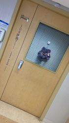 -杭州贝瑞斯美华妇儿医院·早孕·产检·儿科