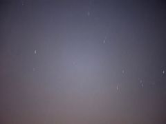 -春花秋色城市公园