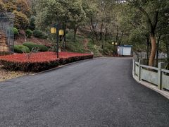 -平湖九龙山旅游度假区