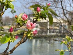 -上海辰山植物园