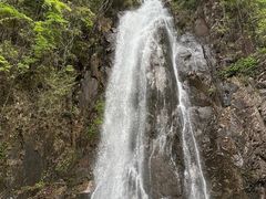 -姑婆山旅游区