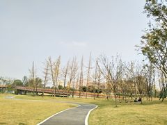 -府河摄影公园
