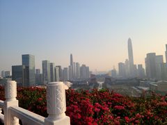 -莲花山公园