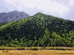 -稻城亚丁景区-冲古草甸