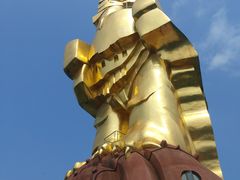 -大金鹰园