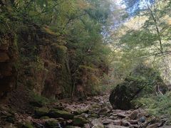 -五女峰国家森林公园