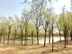 -东郊湿地公园