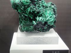 -重庆自然博物馆(新馆)