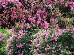 -杭州城北体育公园