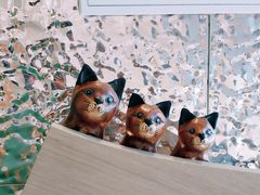 -飞行喵MR PILOT|猫舍·猫咖(静安大融城店)