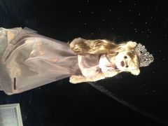 泰迪熊博物馆-济州岛泰迪熊博物馆