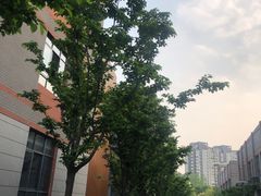 -金陵中学(河西分校)