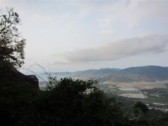 阳台上看到的风景-三亚亚龙湾人间天堂鸟巢度假村