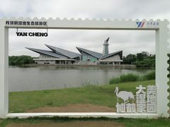 -盐城丹顶鹤湿地生态旅游区