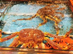 -德兴海鲜渔港(辉煌大厦店)