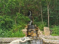 -大连天门山国家森林公园