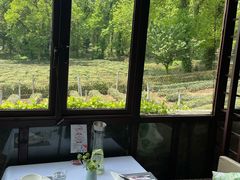 靠窗位-野蔓果·山野菜(西湖景区·龙井茶田店)