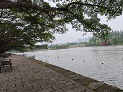 -江心屿景区