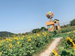 -苏州太湖西山岛开心农场