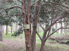 -黑龙江省森林植物园