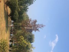 -芙蓉镇景区