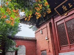 -洛阳白马寺