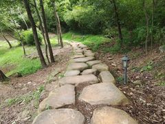 -南京市无想山景区