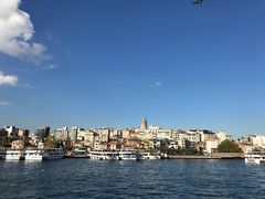 -加拉达石塔