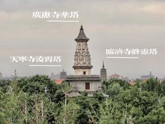-隆兴寺