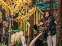 -黄海国家森林公园