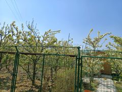 -树山生态村