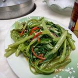 🐟无鱼生不夏天#