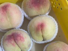 -老袁家蜜桃农场·阳山水蜜桃