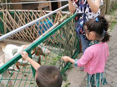 -太阳岛度假酒店